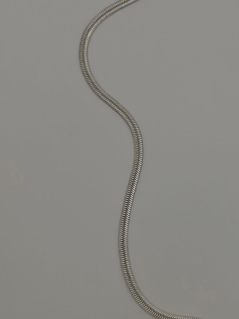 Silver snake